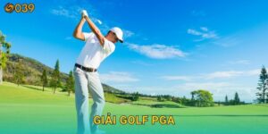 Giải golf PGA – Nơi hội tụ tay gậy hàng đầu tại 039com