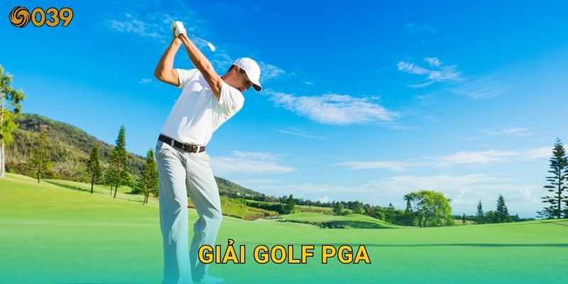 Giải golf PGA – Nơi hội tụ tay gậy hàng đầu tại 039com
