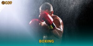 Boxing gay cấn – Trải nghiệm đối kháng kịch tính tại 039com