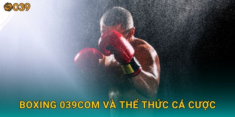 Boxing gay cấn – Trải nghiệm đối kháng kịch tính tại 039com 2 Boxing 039com và thể thức cá cược