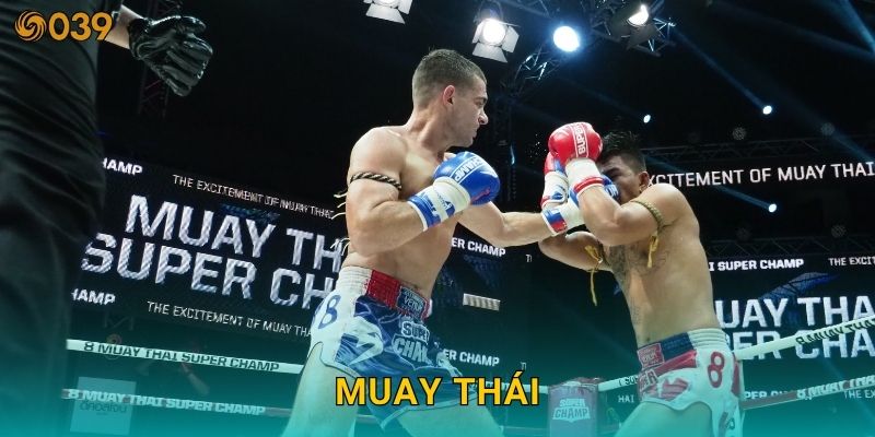 Muay Thái đỉnh cao – Thử thách dự đoán knock-out tại 039com