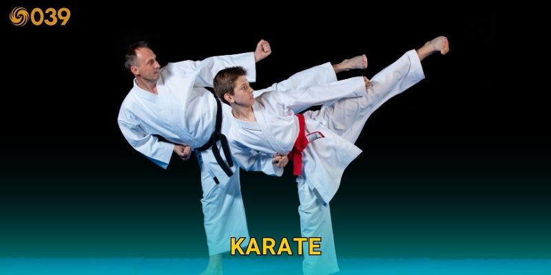 Karate tốc độ – Dự đoán chuẩn xác từng đòn đánh tại 039com