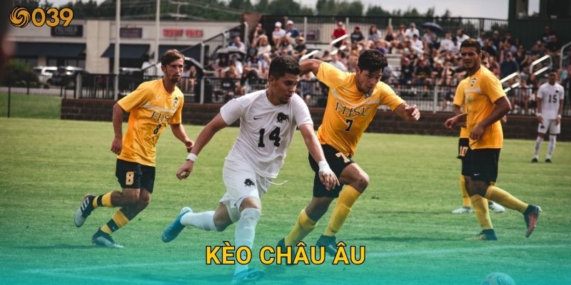 Kèo châu Âu trực quan – Dự đoán kết quả chính xác tại 039com